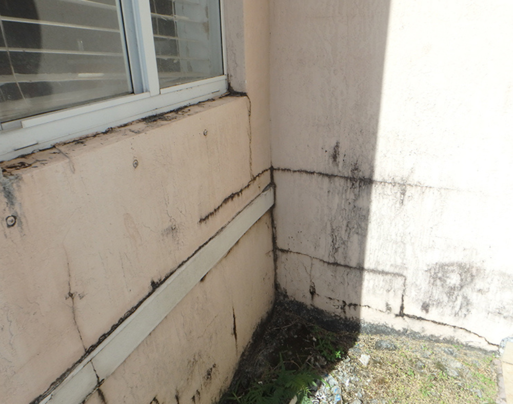 Mold Damage