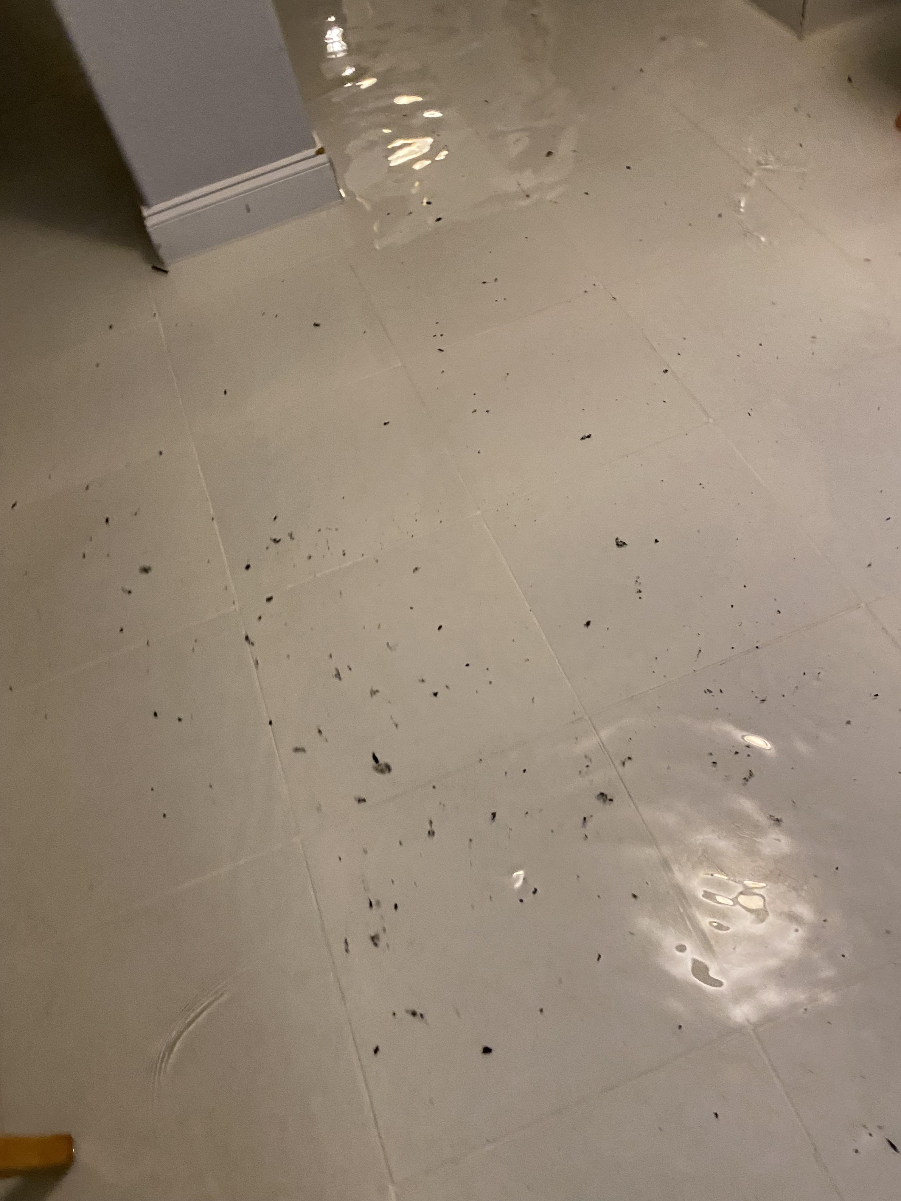 Flood Damage Claim