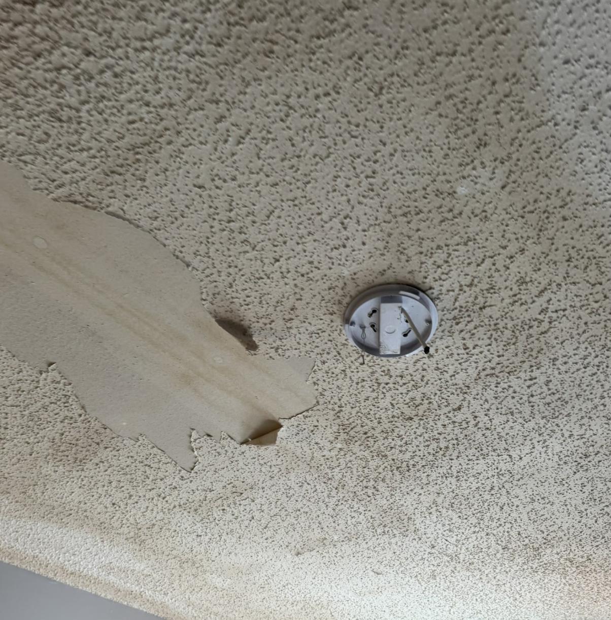Roof Leak Claim